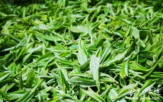 雞鳴貢茶